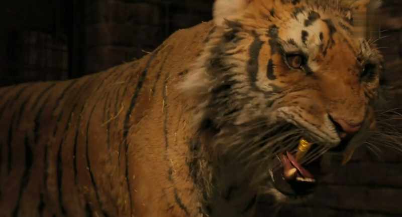 He eats poachers for a living, you know.