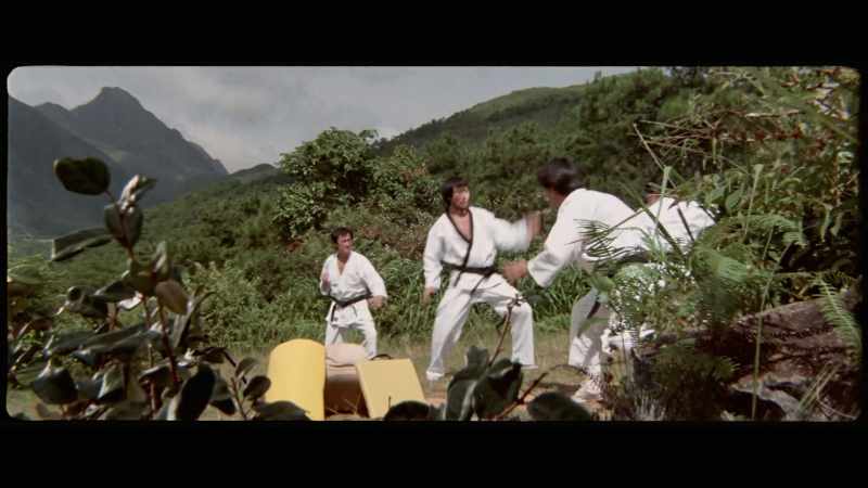 'He was especially noted for his kicking abilities