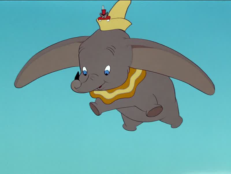 Uh why he flies just like a eagleThat's better than a aeroplaneBrother now I've seen everything