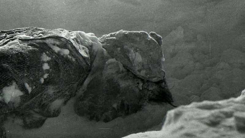 He was found with bruised knuckles