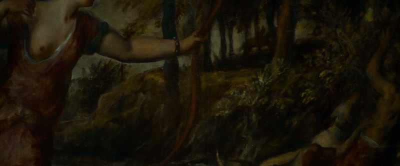 He galloped off into the forest seeking refuge