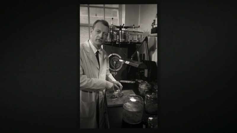 He was going to be the pathologist, the one