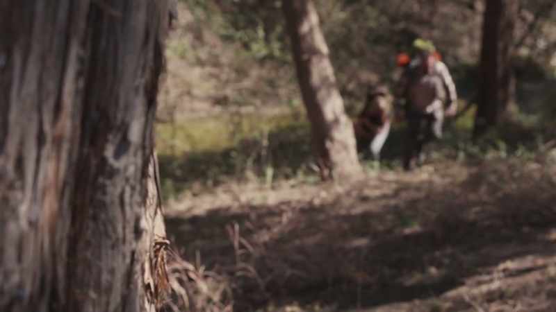 He had his gun with him, a knife