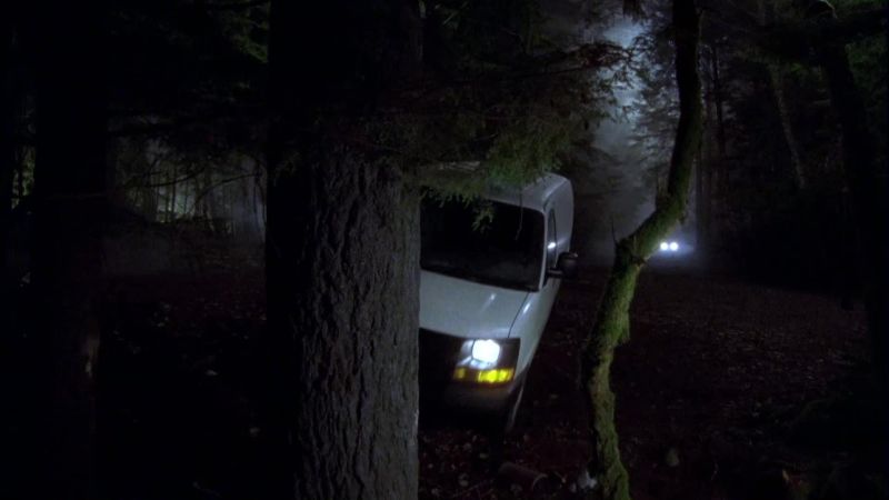 He hit a tree