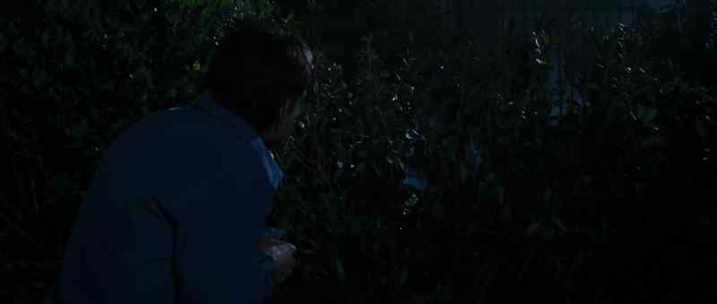 He Iikes it. Jamarcus, he Iikes it