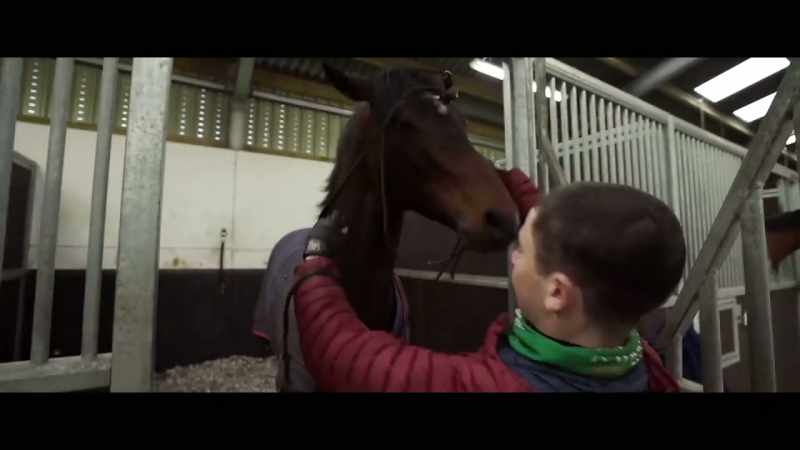 He is just a bad-tempered little horse