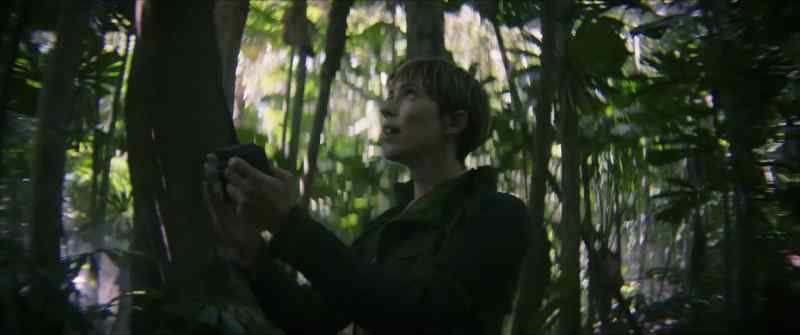He was just eaten by a tree