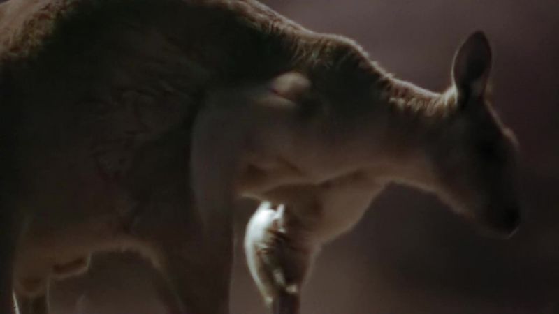 He kicks off the confrontation with a scratch