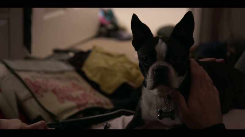 He knows I'm innocent. Listen to him. -[Ruff whimpering]