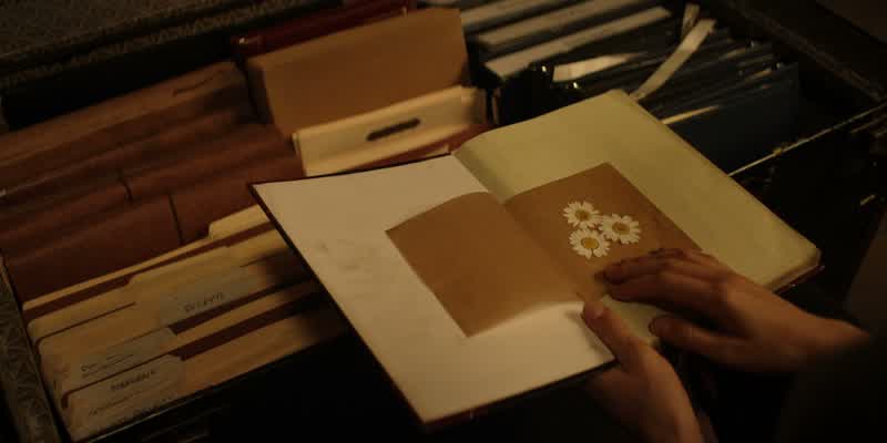 He left me daisies