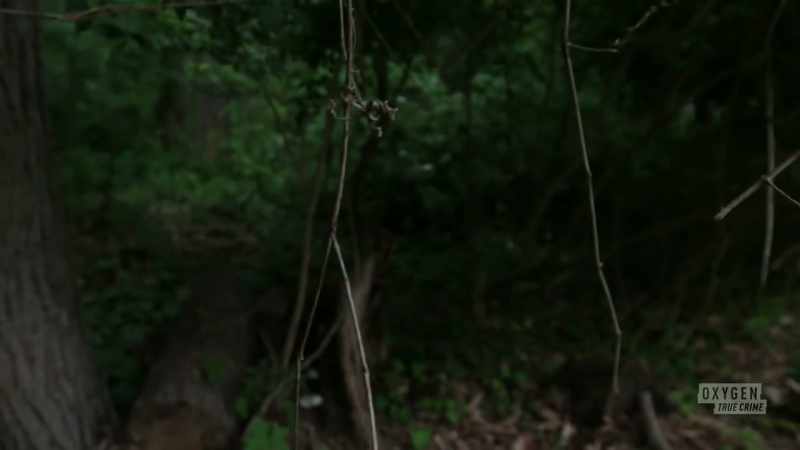 He literally led us out in the woods