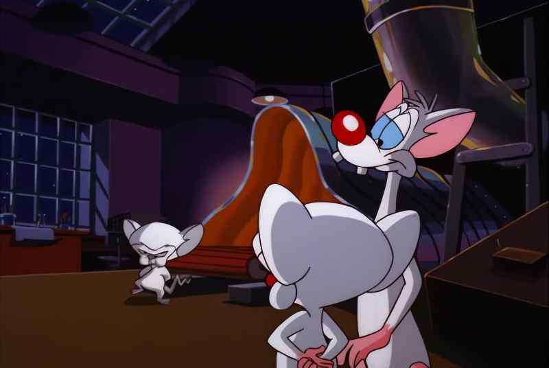 HE LOOKS JUST LIKE YOU, BRAIN