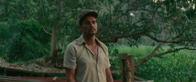 He is lost? In the jungle? Forget it