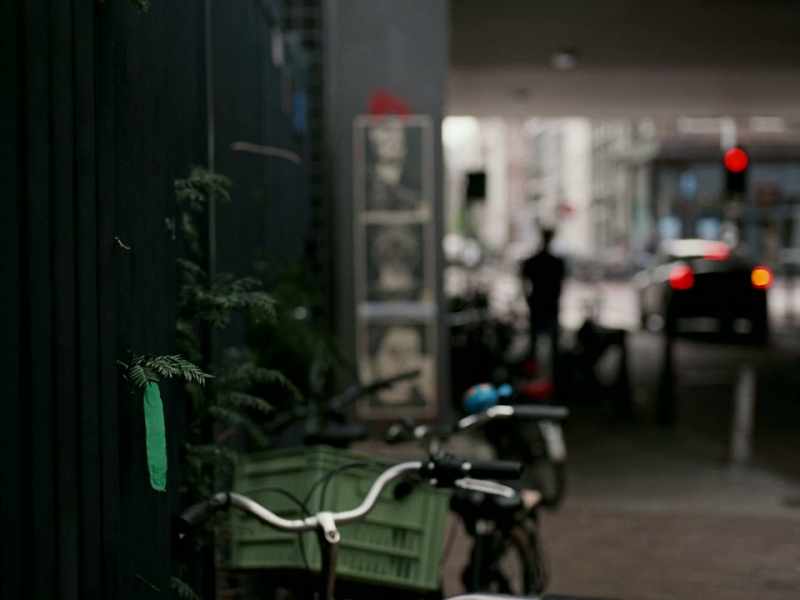 He opted for sterilisation and returned to Amsterdam