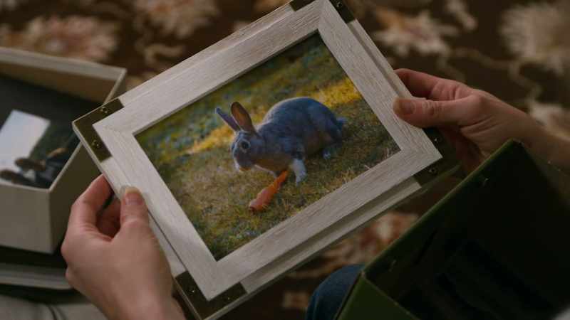 He posed that rabbit with carrots, toys