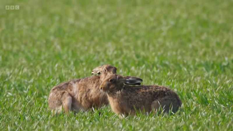 He puts up a good fight and, so, passes her first test