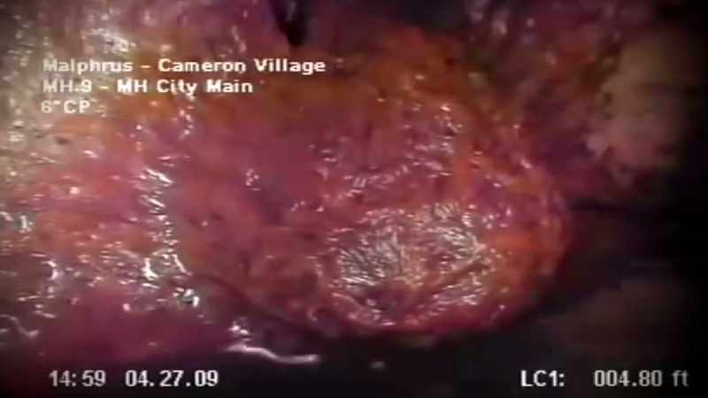 HE RECOGNIZES THE WRITHING MOVEMENT IN THE FOOTAGE