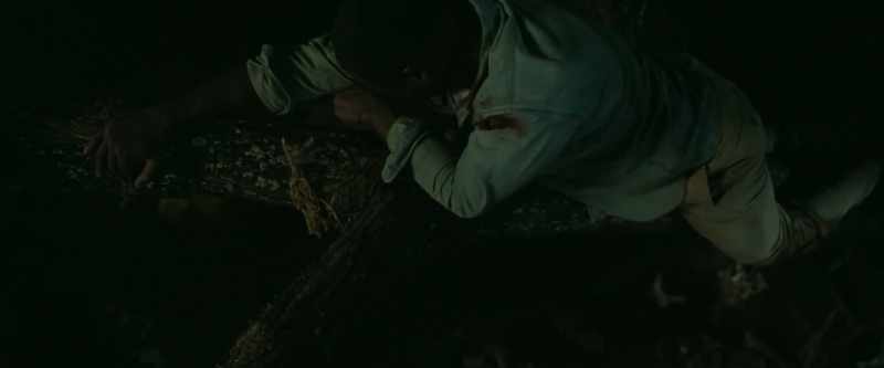 He said he will bring a terrorist but instead he's lugging a tortoise!