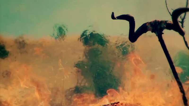 HE SET FIRE TO THE BODY