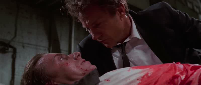 Situation is I'm shot in the bellyWithout medical attention I'm gonna dieUh I can't take you to a hospitalFuck jail manYou don't have to take me in Just drive me up to the front manJust drop me on the