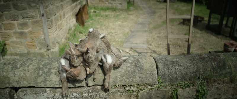 He strangled them, and thoughtfully left them outside