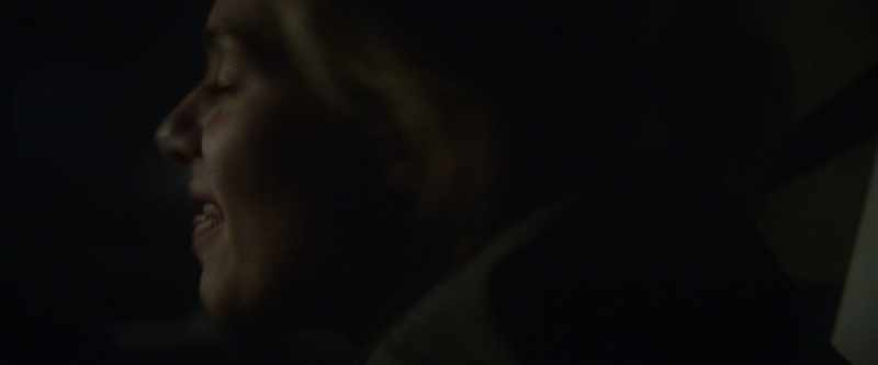 He tried to kill us, and then he got his brains bashed in
