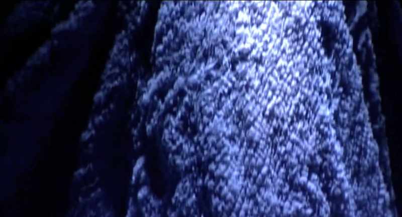 He would have liked the idea of moving away