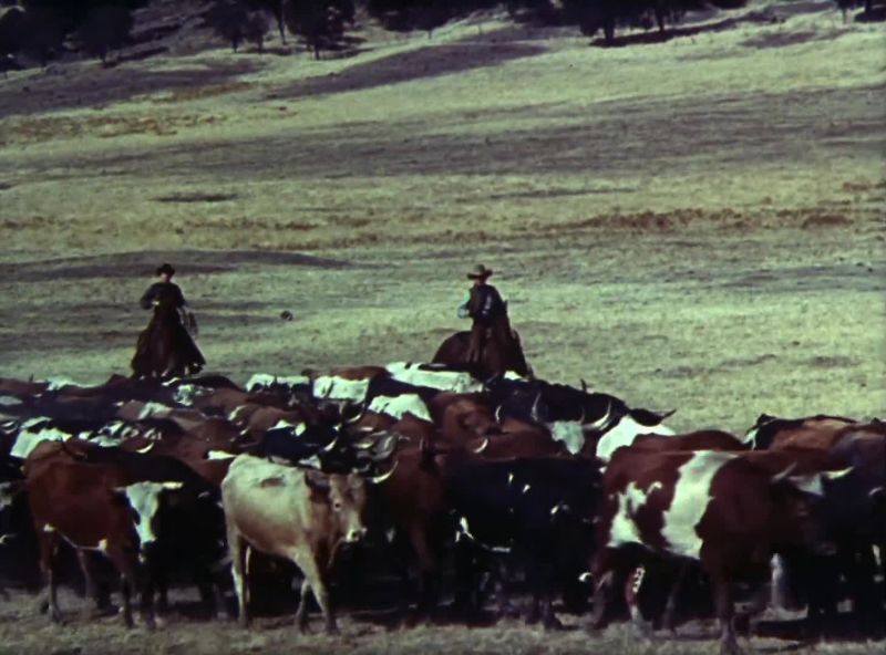 Head 'em out! Move 'em north!