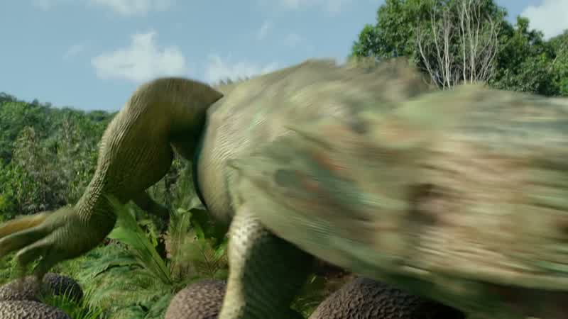 Head for the jungle!