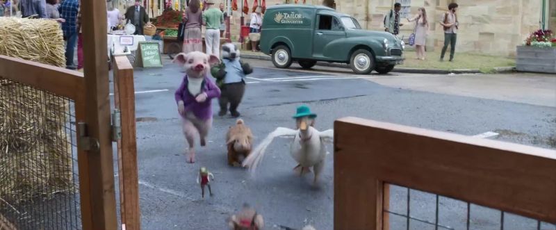 Head to the petting zoo