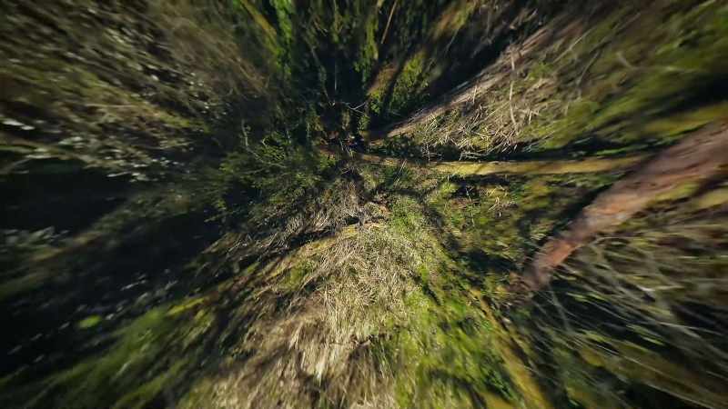Heading high