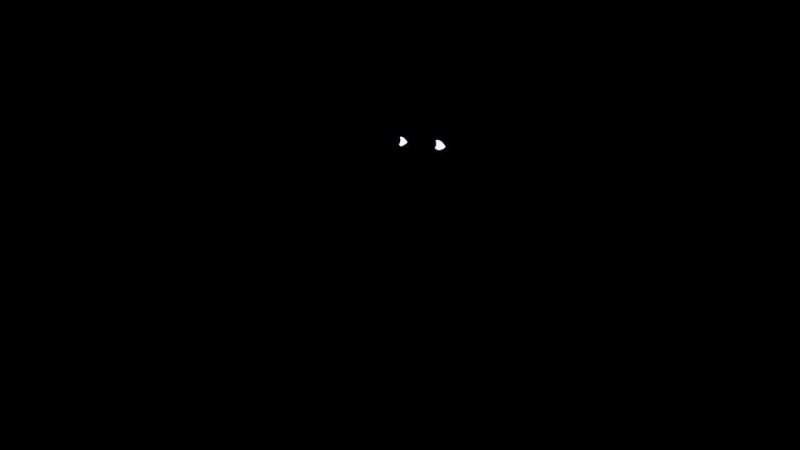Headlight glasses