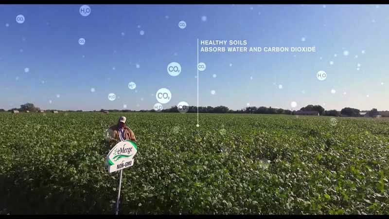 Healthy soils absorb water and carbon dioxide