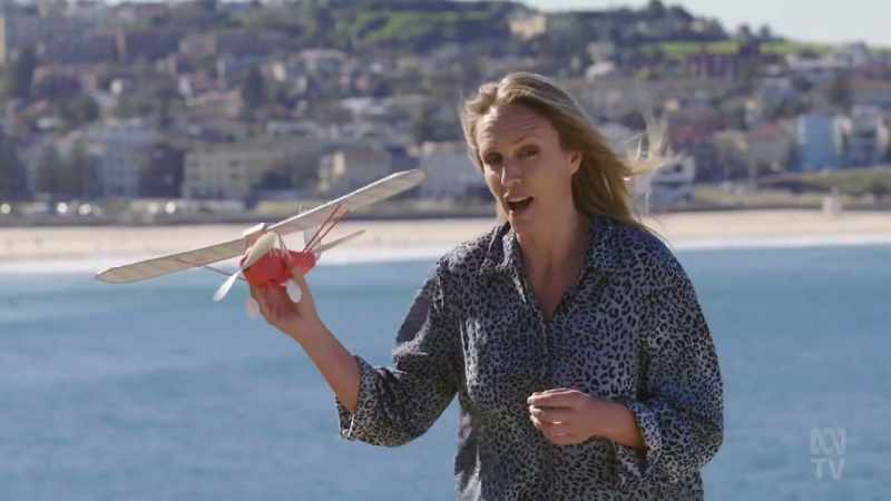 Heavier-than-air flight requires a careful balance