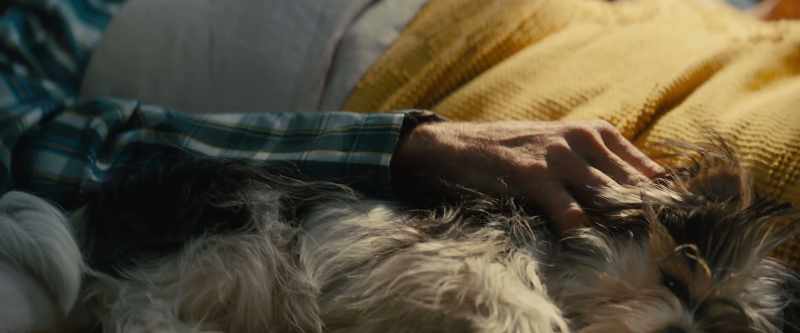 He'd been with me so many times when I had to leave