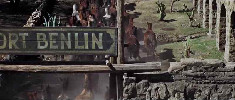 Hee-haw!