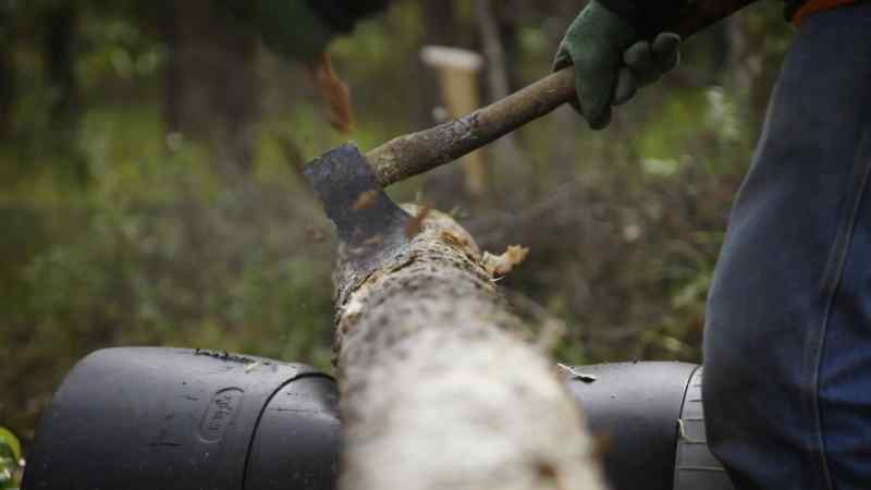 Heimo: I'M SICK OF BUILDING CABINS