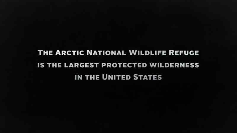 Heimo: THE ARCTIC REFUGE