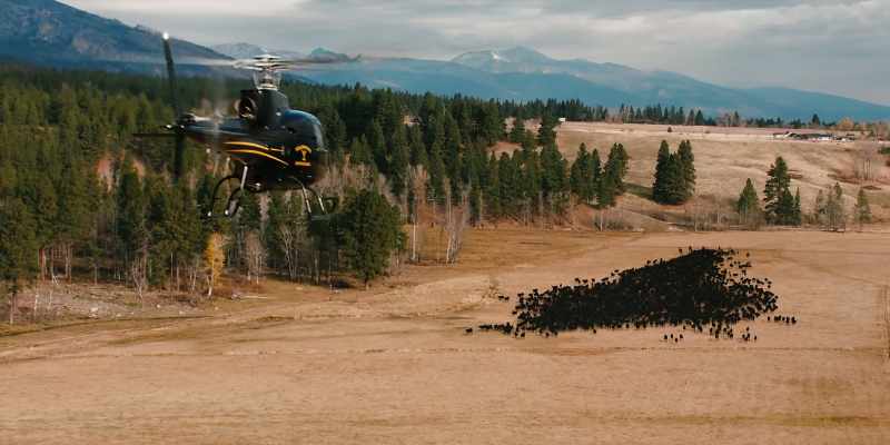 (HELICOPTER WHIRRING)