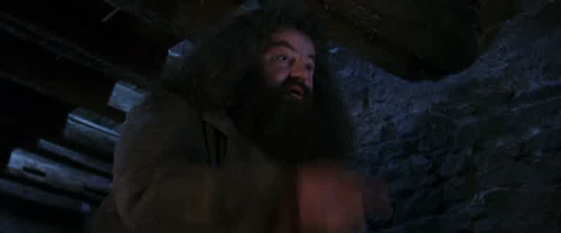 He'll be under the finest headmasterHogwarts has seen, Albus Dumbledore