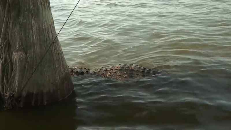 He'll pop the line. Shoot him