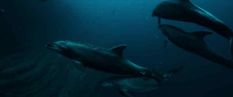�eventually filling the oceans with unimaginable wonders