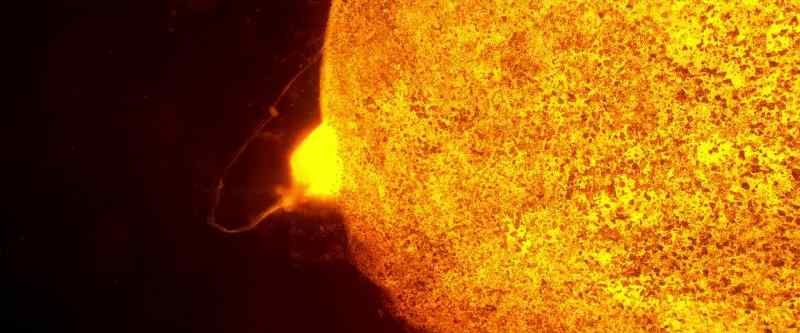 �gravity formed Earth's traveling companion…