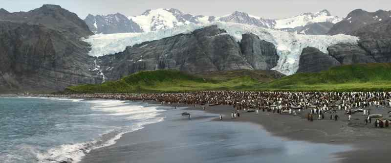 �so evolution could run riot