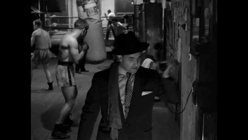 Hello, Albert? - Hello there, Davey. How are ya?