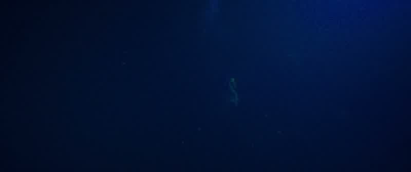 Hello, are you there?