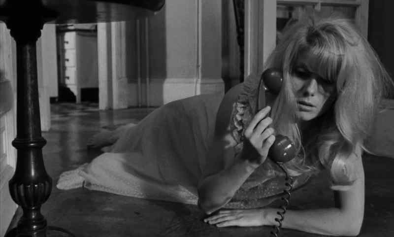 Hello, Carol?