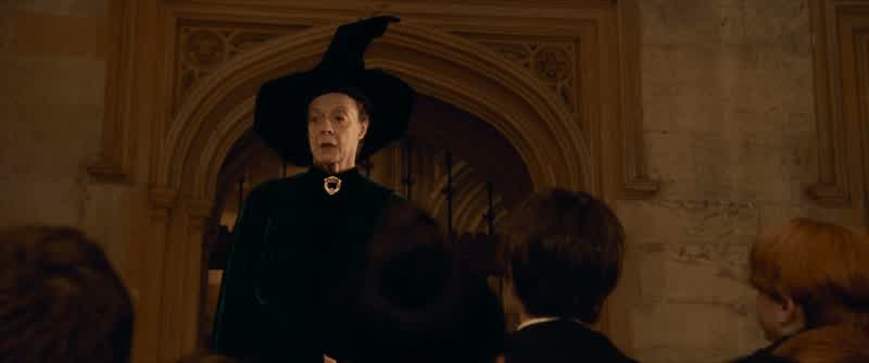 Hello, Harry.- Hey, Hagrid