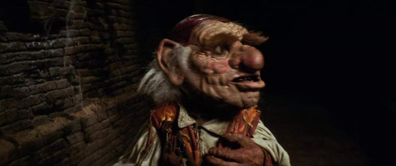 Hello Hedgewart Hogwart
