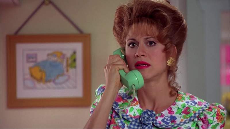 Hello is this Mrs Stupid